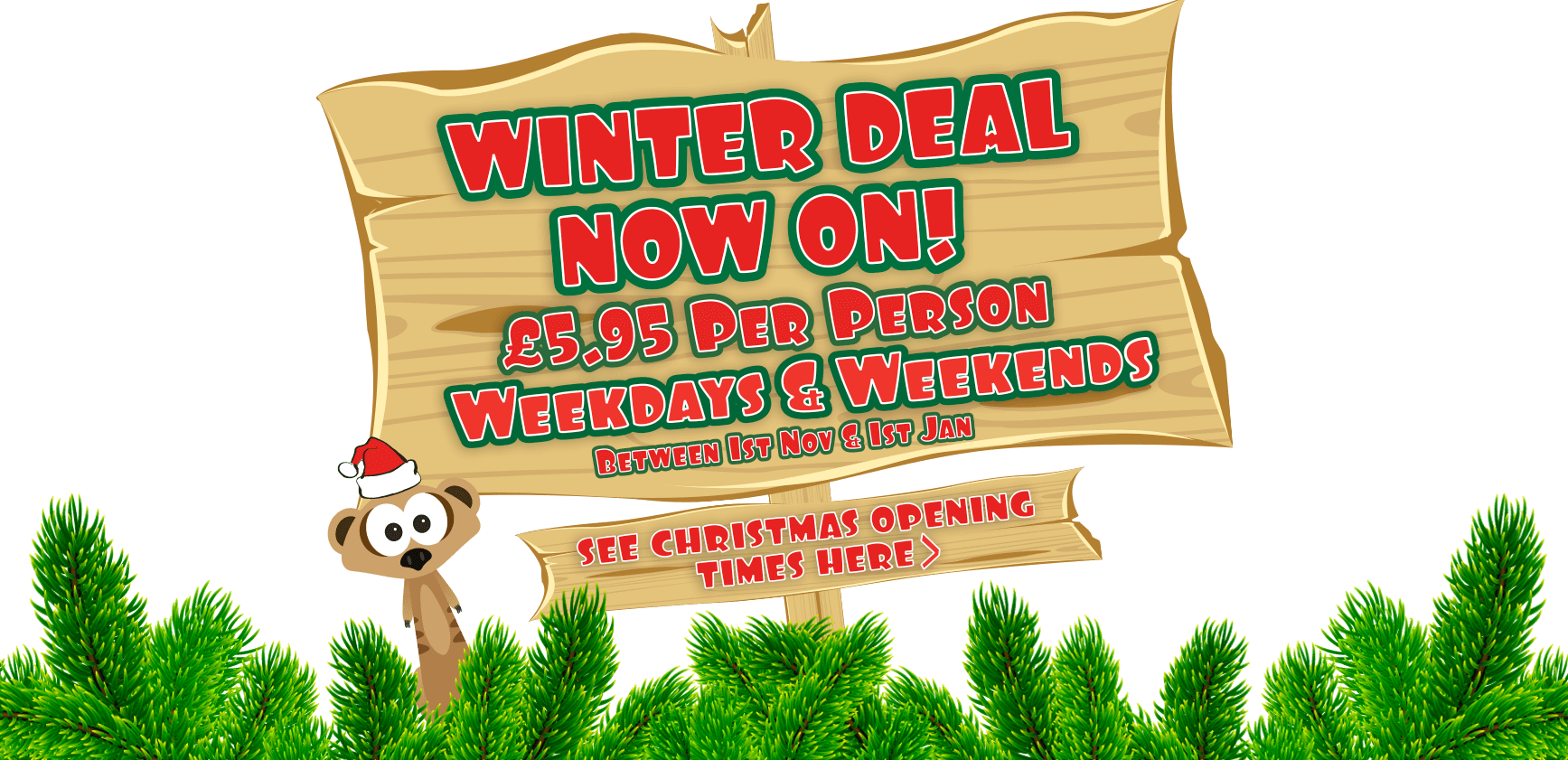 home Little Owl Farm Park