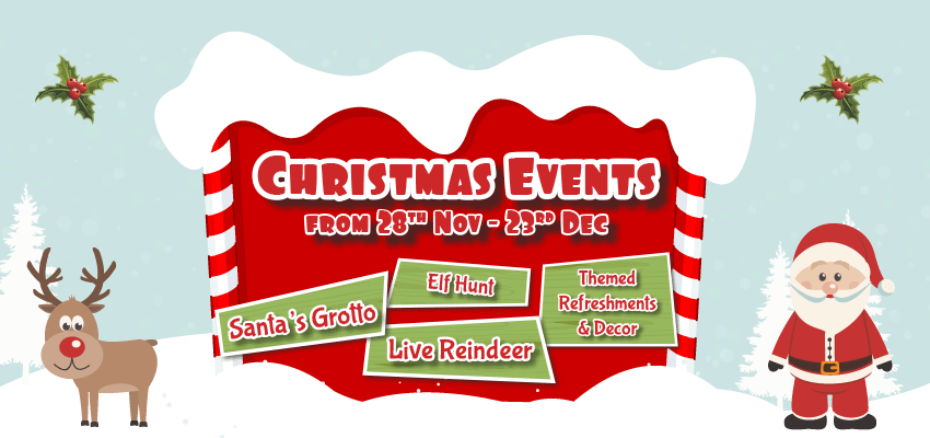 Little Owl Farm Park Christmas Event