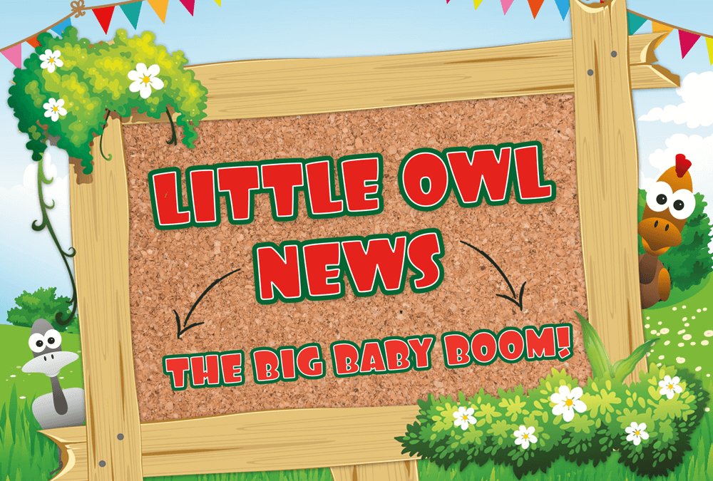 Little Owl News: The BIG Baby Boom!