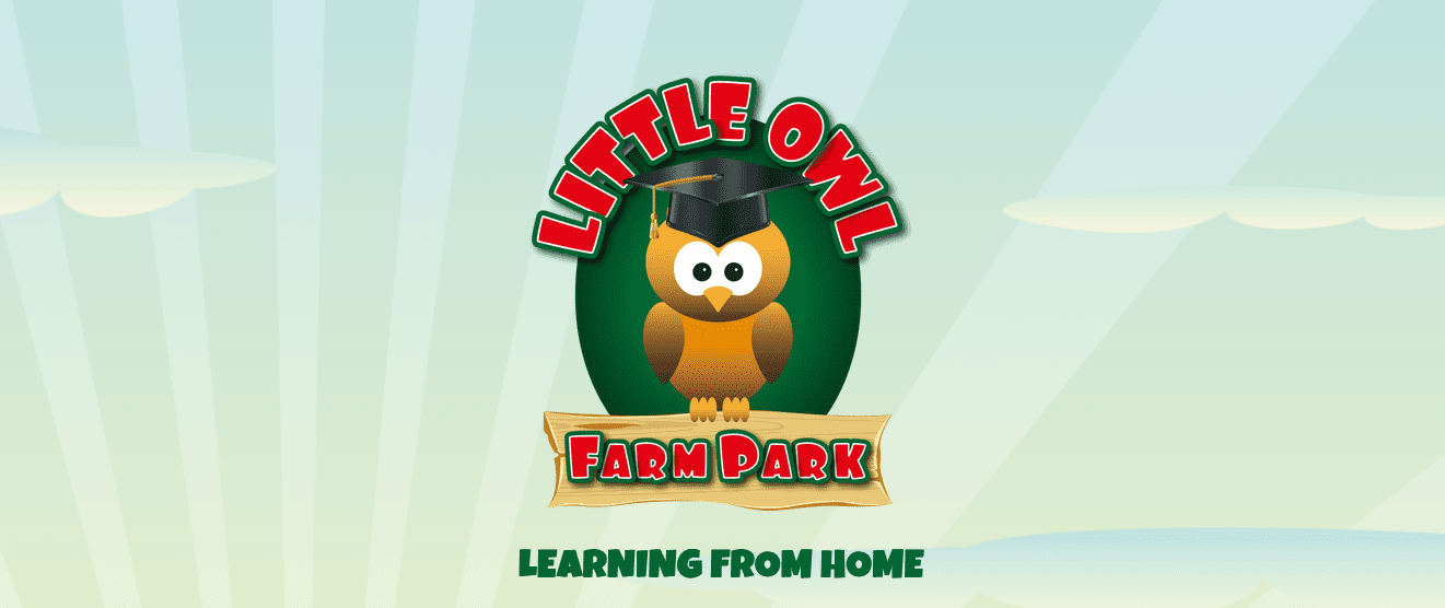 Learning at Home Little Owl Farm Park