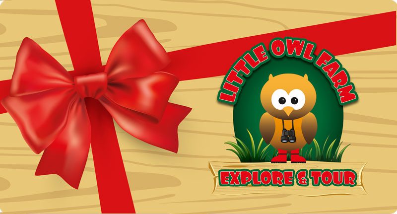 owl-farm-voucher
