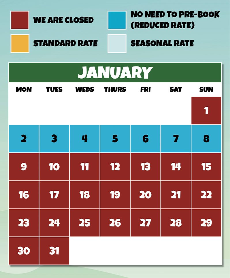 Home Little Owl Farm Park