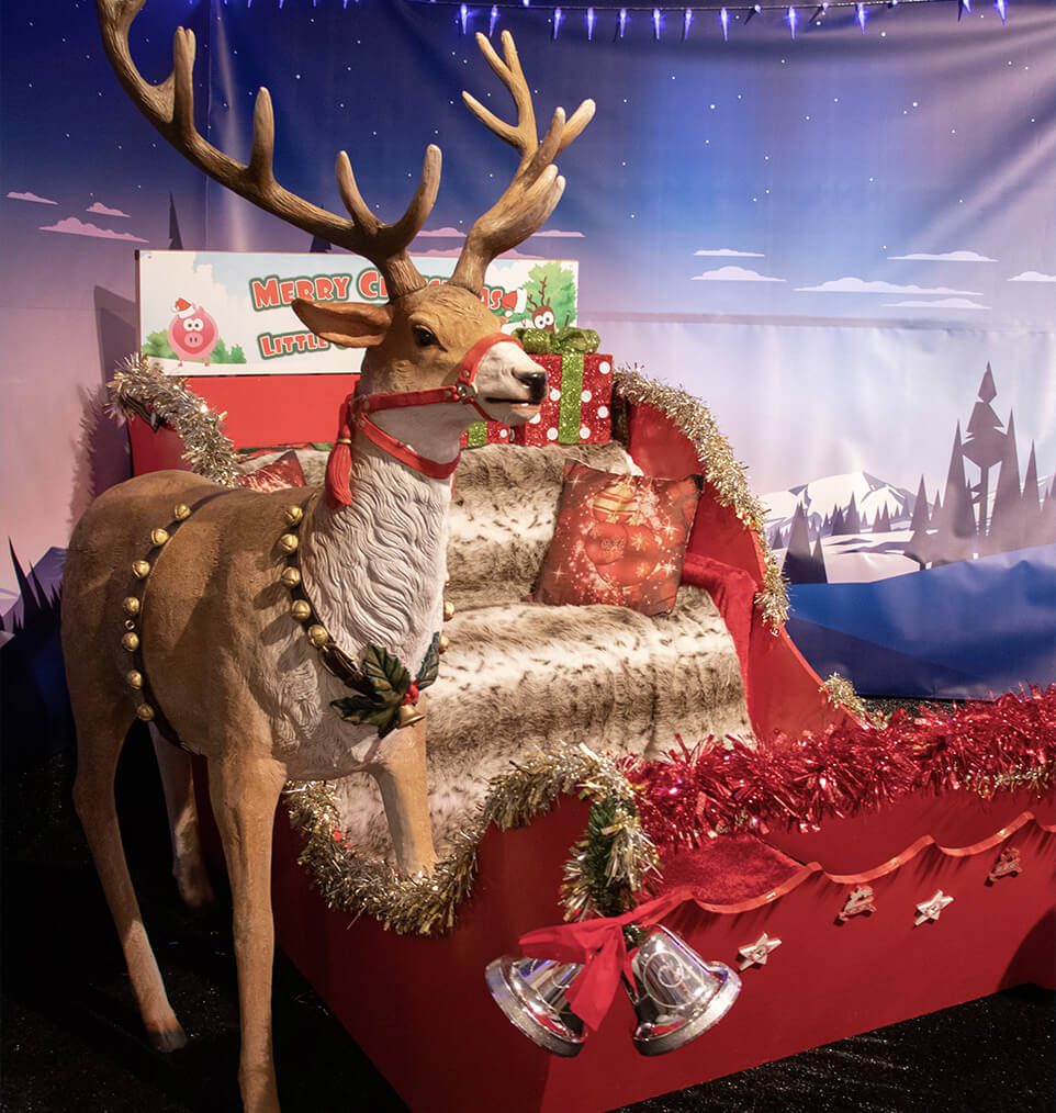 christmas-sleigh-pictures