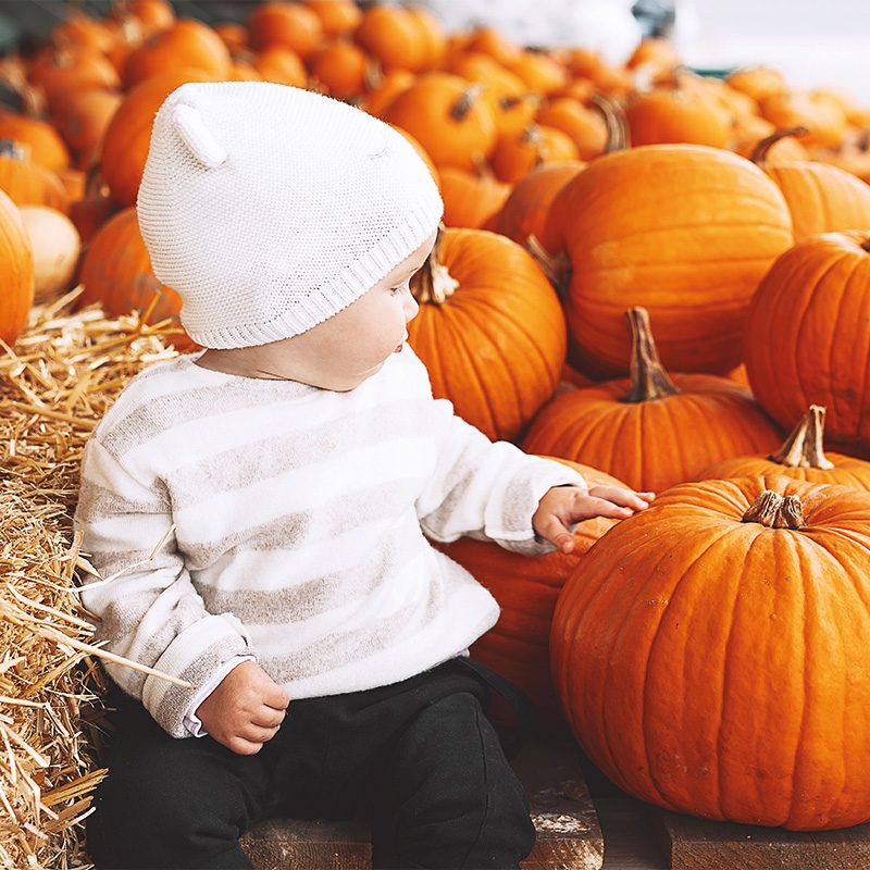 pumpkin-tots-2023-1